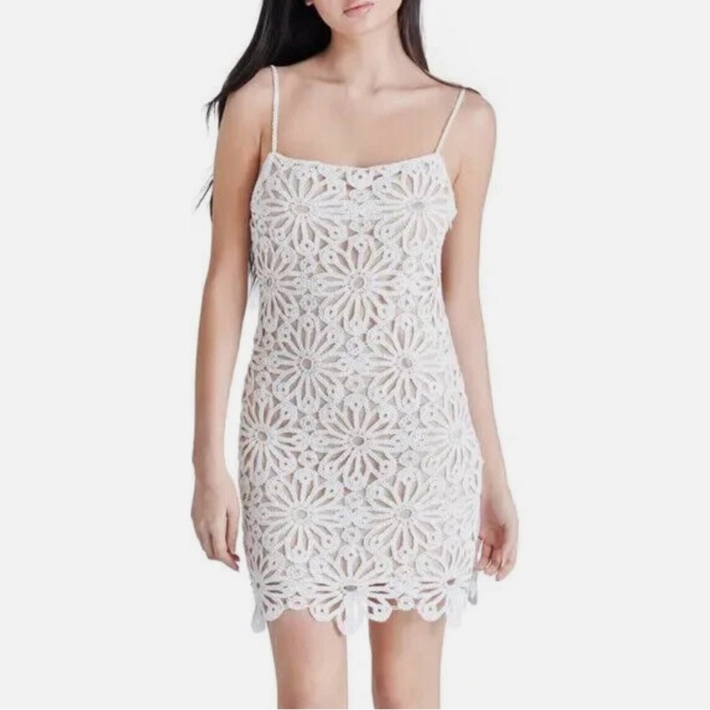 Steve Madden Daisy Crochet Mini Dress in Women's Size 0